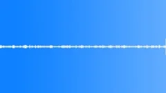 Multi-voiced bird singing at dawn in the summer garden 7 Sound Effect