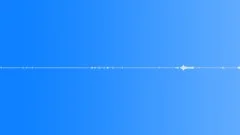 Multi-voiced bird singing in the early morning mountain forest 5Sound Effect