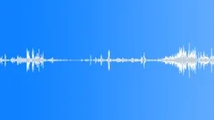 Multi-voiced bird singing in the early morning mountain forest 7Sound Effect