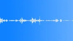Multi-voiced bird singing in the early morning mountain forest 8 Sound Effect