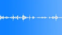 Multi-voiced bird singing in the early morning mountain forest 9Sound Effect