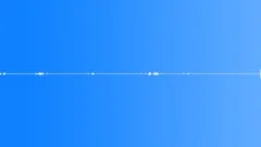 Multi-voiced bird singing in the mountain forest in the early morning 4Sound Effect