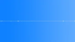Multi-voiced bird singing in the mountain forest in the early morning 7Sound Effect