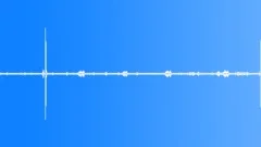Multi-voiced bird singing in the spring aspen forest 1Sound Effect