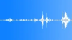 Multi-voiced bird singing in the spring bushes and aspen forest 1Sound Effect