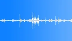 Multi-voiced bird singing in the spring bushes and aspen forest 2Sound Effect