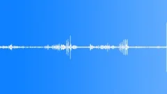 Multi-voiced bird singing in the spring bushes and aspen forest 3Sound Effect