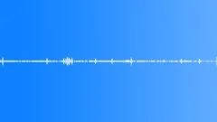 Multi-voiced bird singing in the steppe and forest belt at dawn 4 Sound Effect
