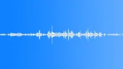 Multi-voiced birds singing at dawn in the spring village 2Sound Effect