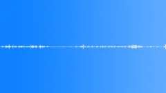 Multi-voiced birds singing at dawn in the spring village 3Sound Effect