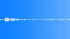 Multi-voiced birds singing at dawn in the spring village 8Sound Effect