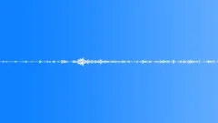 Multi-voiced birds singing at dawn in the spring village 9Sound Effect