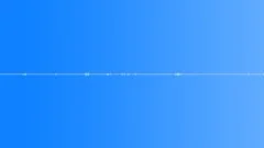 Multi-voiced birds singing at dawn in the spring village 14Sound Effect