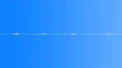 Multi-voiced birds singing in the early morning in the summer village 8Sound Effect