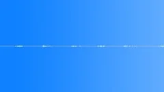 Multi-voiced birds singing in the early morning in the summer village 12 Sound Effect