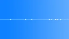 Multi-voiced birds singing in the early morning in the summer village 13 Sound Effect