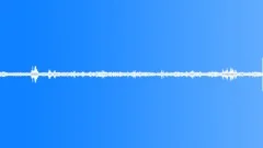 Multi-voiced birds singing in the spring village 1Sound Effect