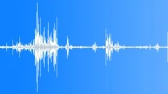 Multi-voiced spring bird singing on the willow bushes among the steppe 2Sound Effect
