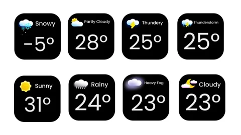 Multi Weather Forecast Panel Grid Widget Stock Footage 335575063