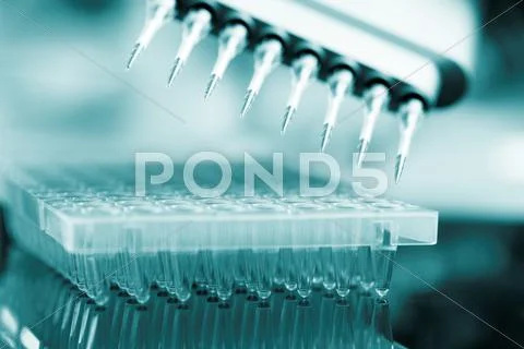 Multi-well sample tray Stock Photos