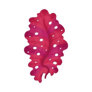 Multicellular Marine Algae Growing on Sea Bottom Vector Illustration Illustrazione stock