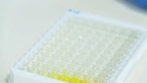 Multichannel micropipette in the laboratory Stock Footage 186172808