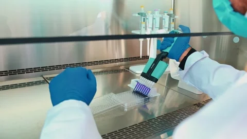 Multichannel Pipetting Procedure by Food Engineer in Sterile Lab Environment Stock Footage 308043860