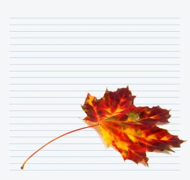 Multicolor autumn maple-leaf and notebook paper Stock Photos