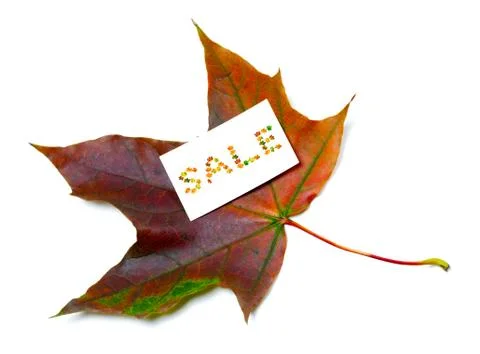 Multicolor autumn maple-leaf with white empty price card Stock Photos