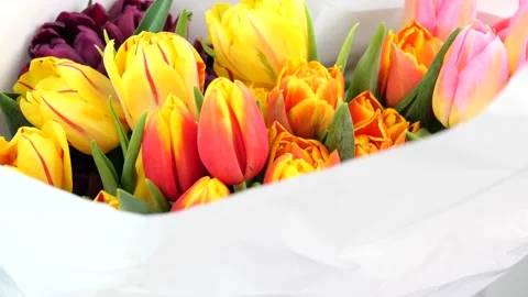 Multicolor bouquet or set of various fresh tulips Stock-Footage 150035764