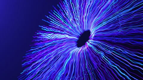 Multicolor Bright Explosion Vivid Particles. Firework Display Footage. New D Stock Footage 162838191
