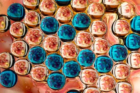 Multicolor bubble grid pattern macro abstract science background Stock Photos