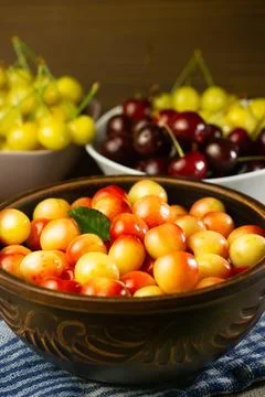 Multicolor cherries in the plate Stock Photos