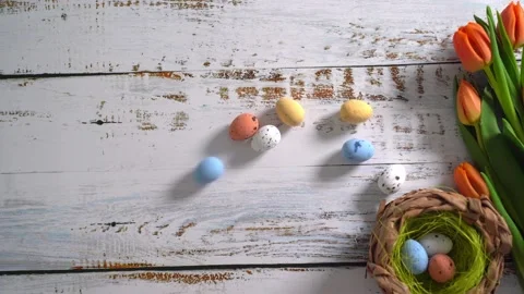 Multicolor Easter eggs rolling on white wooden table with tulips.  Stock Footage 150380344