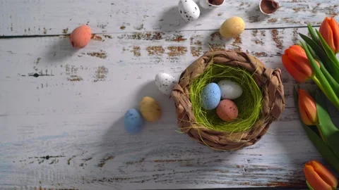 Multicolor Easter eggs rolling on white wooden table with tulips.  Stock Footage 150380424