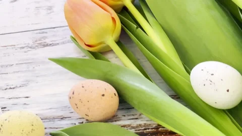 Multicolor Easter eggs rolling on white wooden table with tulips.  Stock Footage 150380482