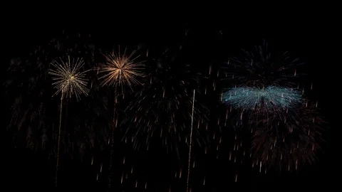Multicolor Fireworks background Stock Footage 100080774