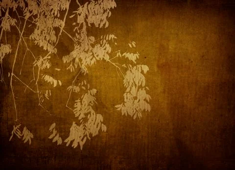 Multicolor foliage background.. Stock Photos