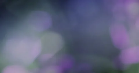 Multicolor glittering christmas background floating with bokeh, holiday happy Stock Footage 278526559