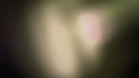 Multicolor golden rays light leaks and lens flare overlays, cool warm gold Stock Footage 330482316