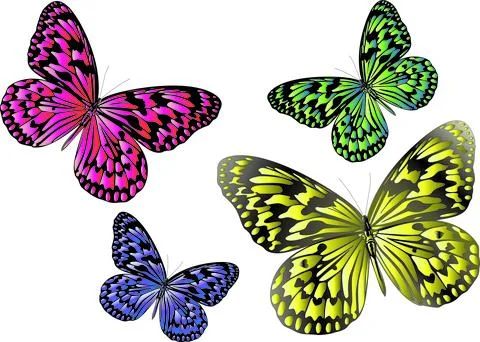 Multicolor gradient butterfly illustration design Stock Illustration