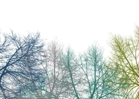Multicolor Graphic Silhouette Botanical Background Stock Illustration