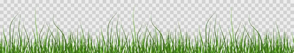 Multicolor green grass. Seamless pattern from left to right. Horizontal on tr Stock Illustration