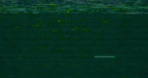 Multicolor green vhs glitch noise background realistic flickering, analog Stock Footage 294762437