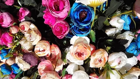 Multicolor irregular flowers Stock Footage 146242200