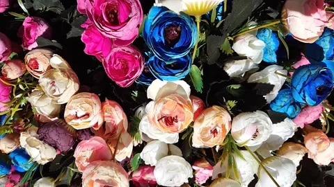 Multicolor irregular flowers Stock Footage 146242251