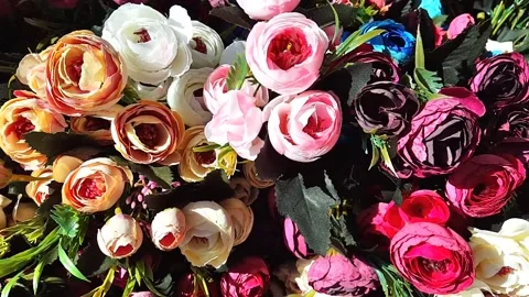 Multicolor irregular flowers Stock Footage 146242329