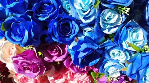 Multicolor irregular flowers Stock Footage 146242399