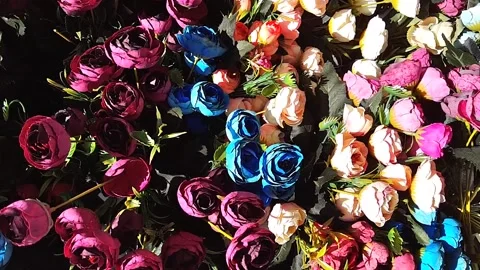 Multicolor irregular flowers Stock Footage 146242427