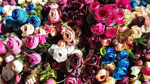 Multicolor irregular flowers Stock Footage 146242452